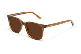 Marvel Brown, Oversized Square Brown Sunglasses with Brown Polarized Lenses – top oblique view