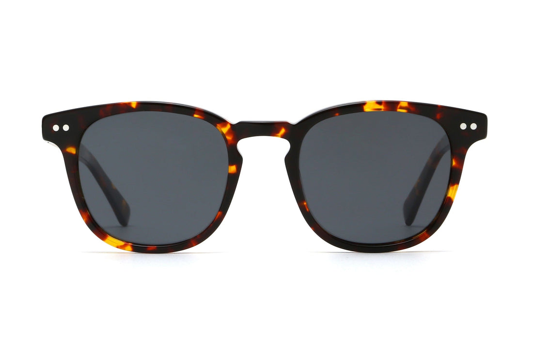 Lunettes de soleil Carter